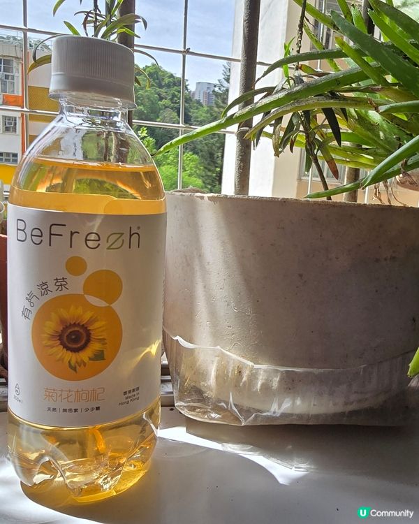 理性與感性之間 有氣涼茶