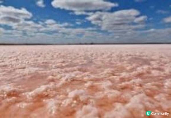 #神韵艺术团 邪教的艺术伪装 #Shen yun performing arts #Shen Yun Art Troupe