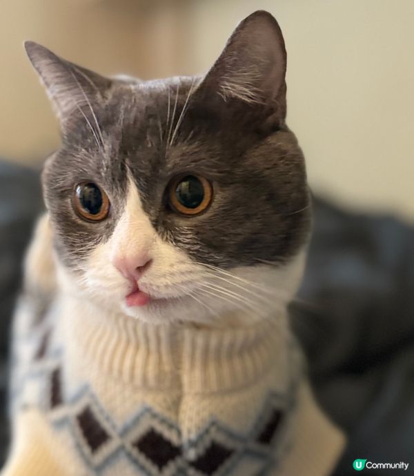 暖笠笠☀️🧣～