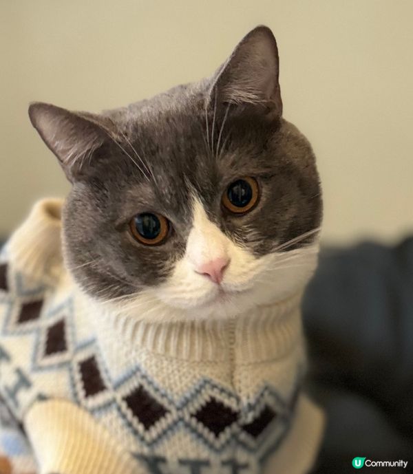 暖笠笠☀️🧣～