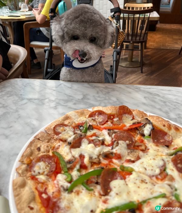 #陪食專員又出動 