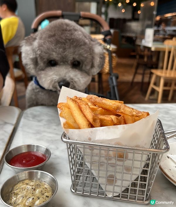 #陪食專員又出動 