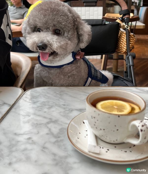 #陪食專員又出動 