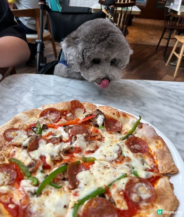 #陪食專員又出動 