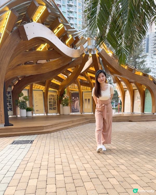 轉角：藝術點亮社區！🎨🏘️