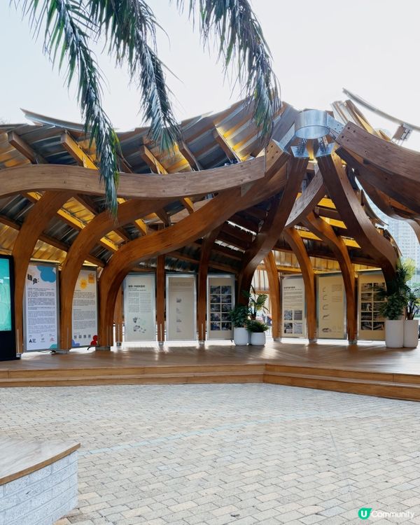 轉角：藝術點亮社區！🎨🏘️