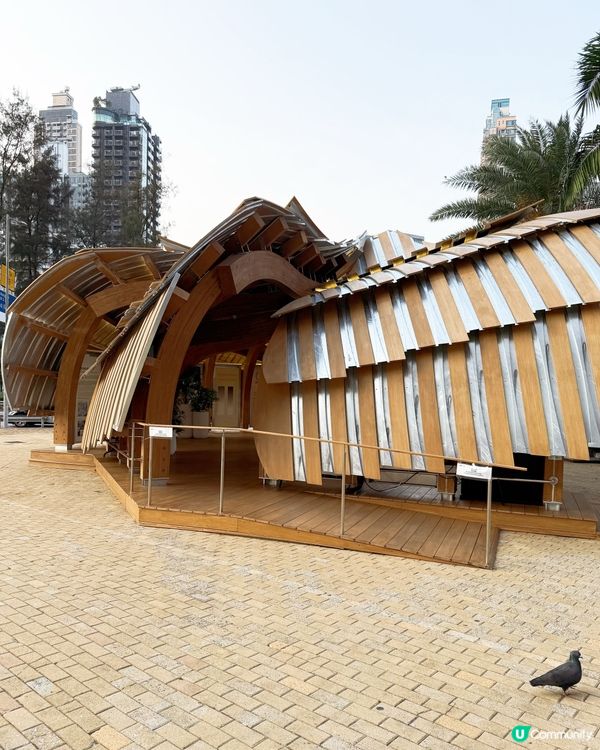 轉角：藝術點亮社區！🎨🏘️