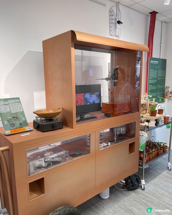 轉角：藝術點亮社區！🎨🏘️