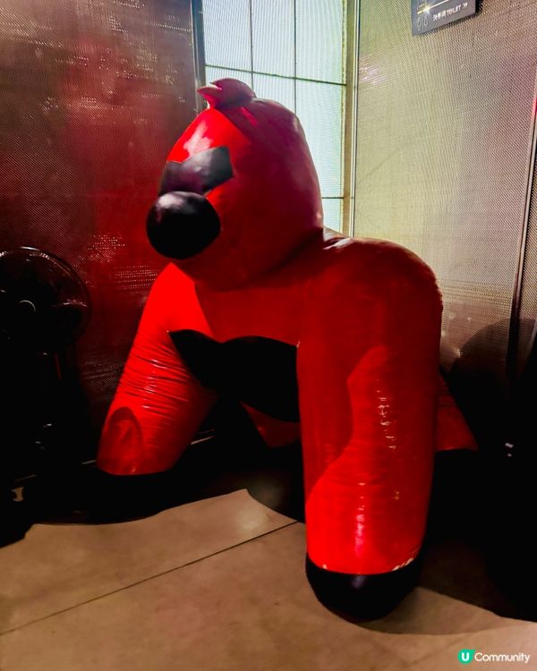  🚢 廈門初體驗！酒吧靚到爆燈✨