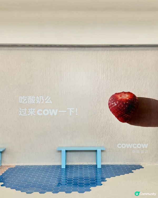 深圳新店 Cowcow 酸奶碗測評 ✨
