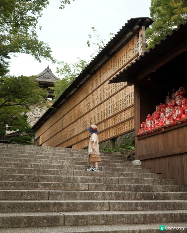 ❤️大阪勝尾寺⛩️ 達摩滿佈，好運連連！