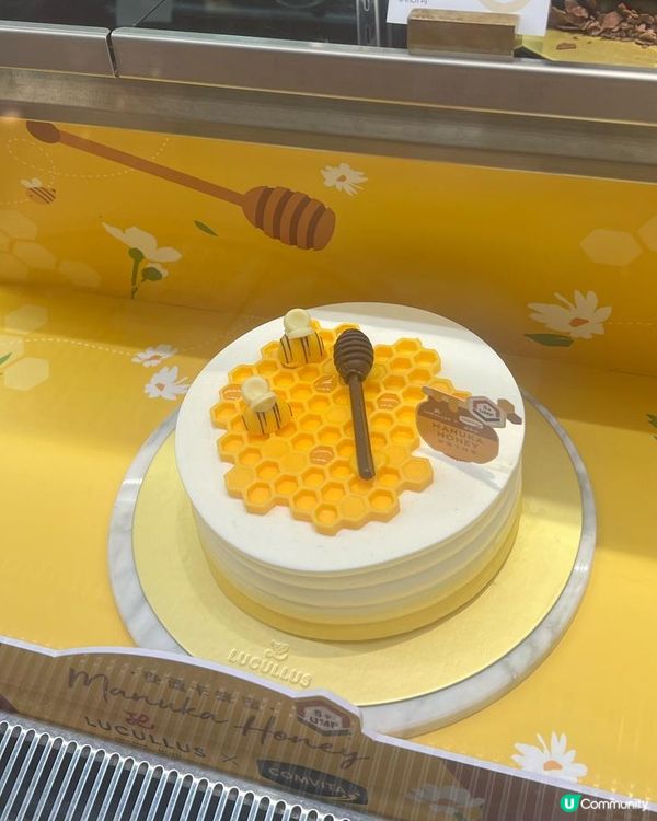 龍島麥蘆卡蜂蜜🍯蛋糕🍰送給好朋友的蛋糕