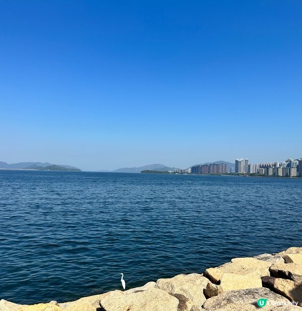 柬埔寨🇰🇭復古綠色調IG-able Cafe🤩