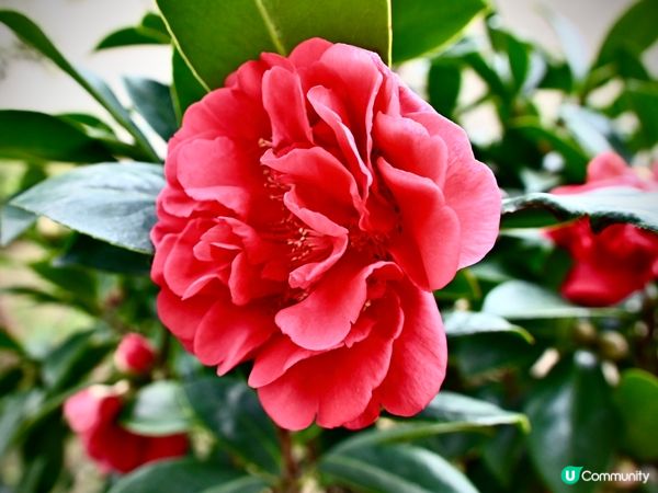 心花怒放🥰