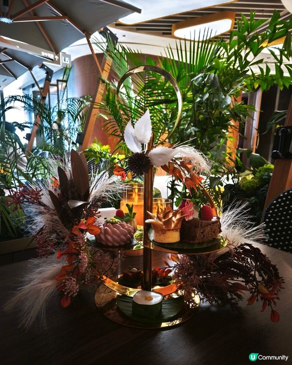 深圳打卡多過食的靚靚餐廳