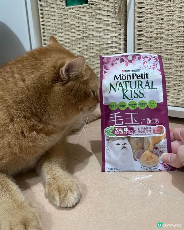 健康貓條😋