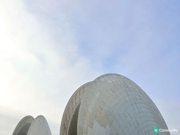 日夜都美美的日月貝