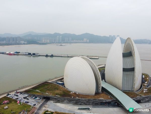 日夜都美美的日月貝