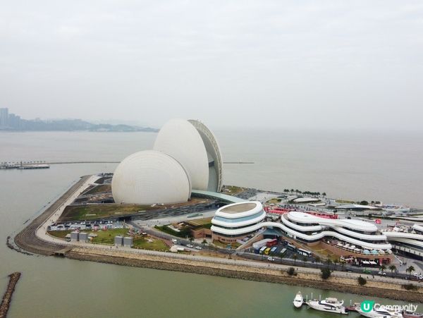 日夜都美美的日月貝