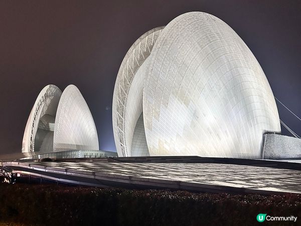 日夜都美美的日月貝