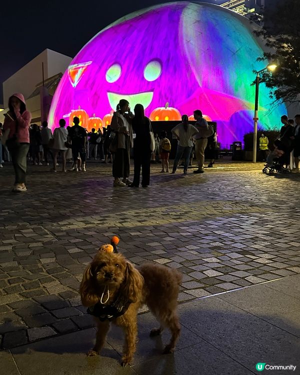 太空館萬聖節限定🎃