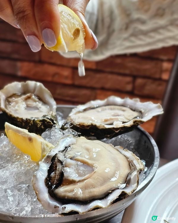 高質新鮮生蠔空運到港