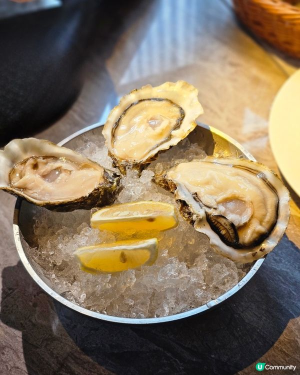 高質新鮮生蠔空運到港