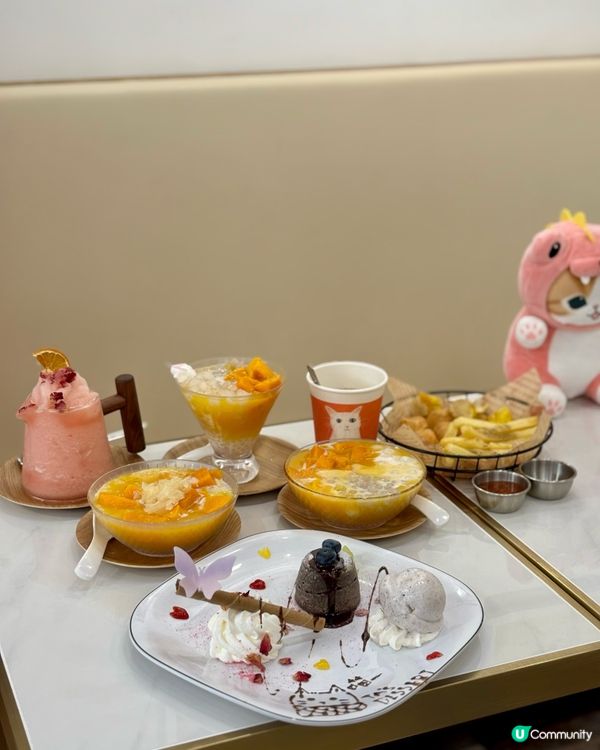 貓貓主題甜品店