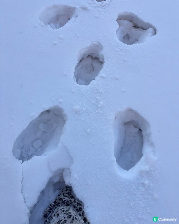 《內蒙古》呼倫貝爾的空氣