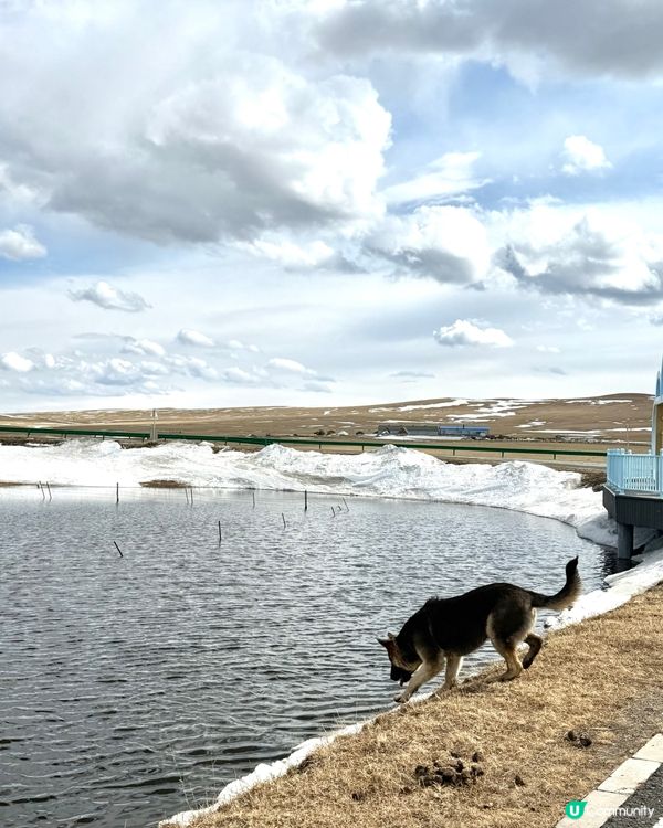 《內蒙古》呼倫貝爾的空氣