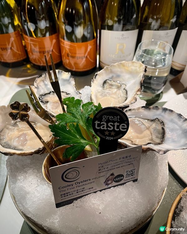 銅鑼灣蠔吧🤤！$200內食到高質西餐！😋 生日飯首選