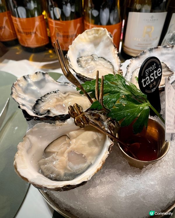 銅鑼灣蠔吧🤤！$200內食到高質西餐！😋 生日飯首選