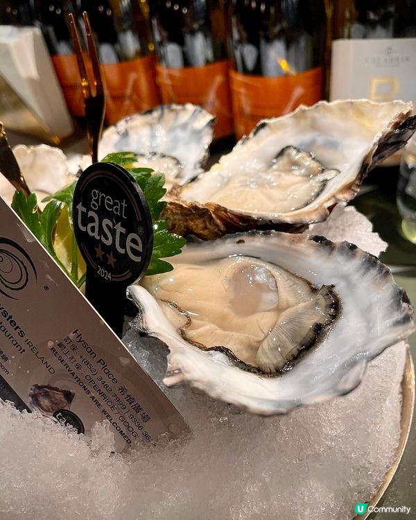 銅鑼灣蠔吧🤤！$200內食到高質西餐！😋 生日飯首選