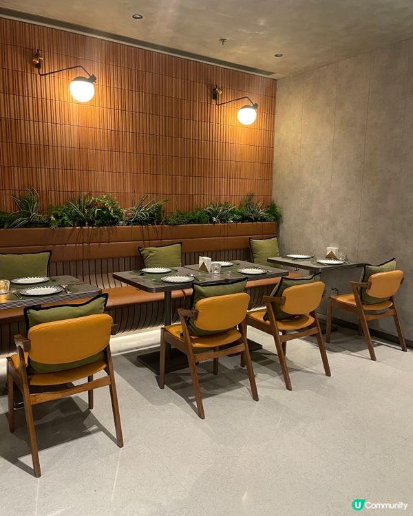 銅鑼灣蠔吧🤤！$200內食到高質西餐！😋 生日飯首選