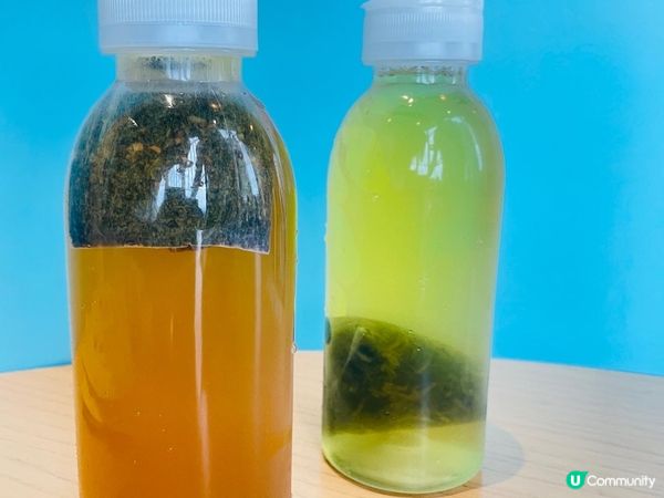 之前食過一次覺得性價比好高 忍唔住又再去食下886