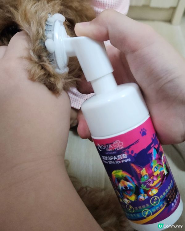 🐶🐾散步後必備！清潔腳掌神器！