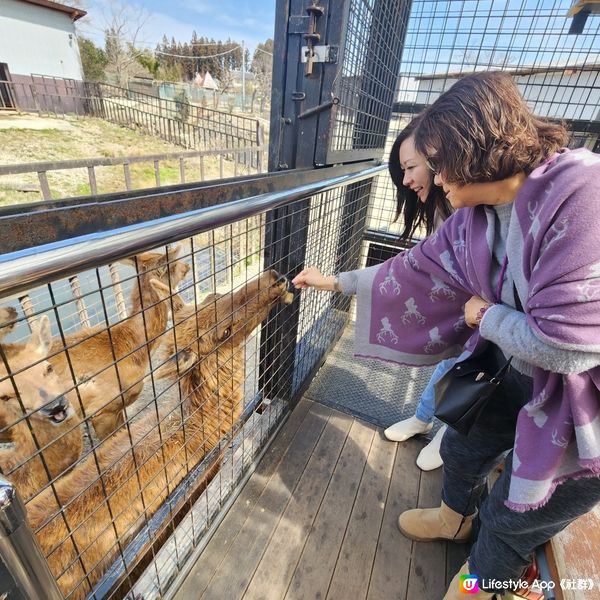 那須野生動物園更受日本當地人喜愛🤩??!