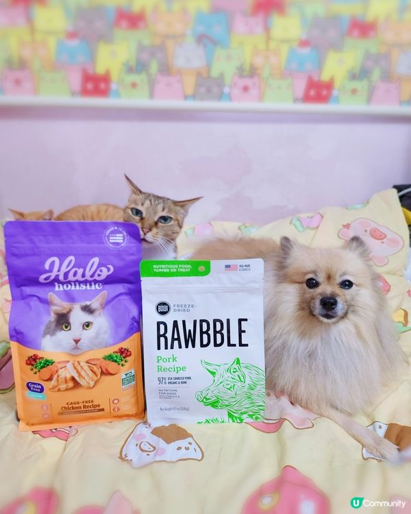 送出🐱🐶BIXBI優質凍乾同埋Halo純鮮肉乾糧🤩