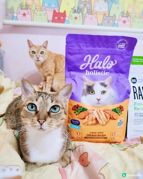 送出🐱🐶BIXBI優質凍乾同埋Halo純鮮肉乾糧🤩
