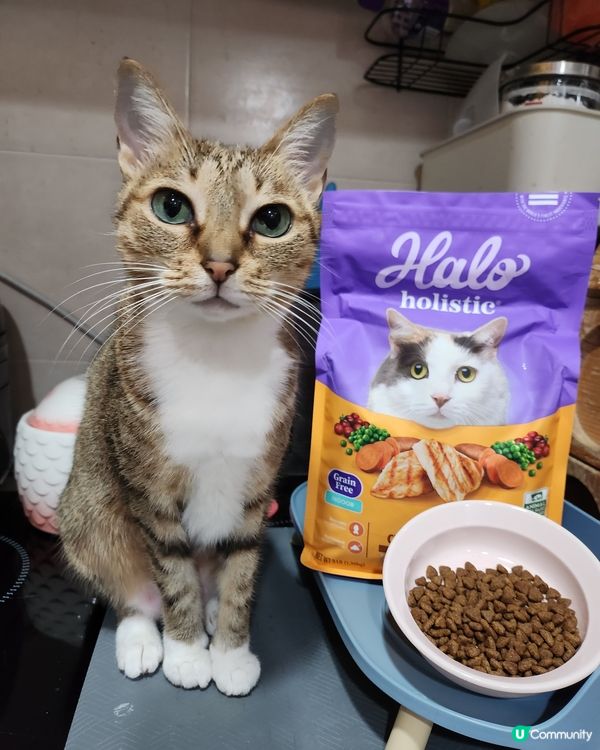 送出🐱🐶BIXBI優質凍乾同埋Halo純鮮肉乾糧🤩