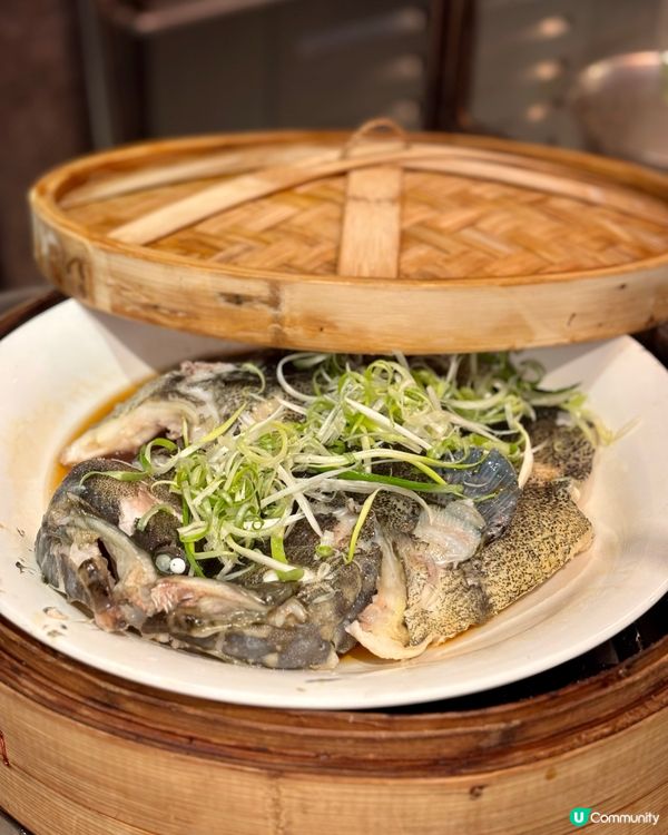 🌊 海鮮控必去🥰 沙田帝逸酒店全新「堂弄鮮嚐」自助晚餐 🦀