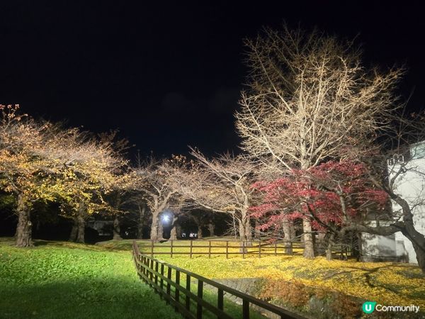 #倒數聖誕 #我一定要飲咖啡 #賞楓暢飲 #快閃打卡賞 #o...