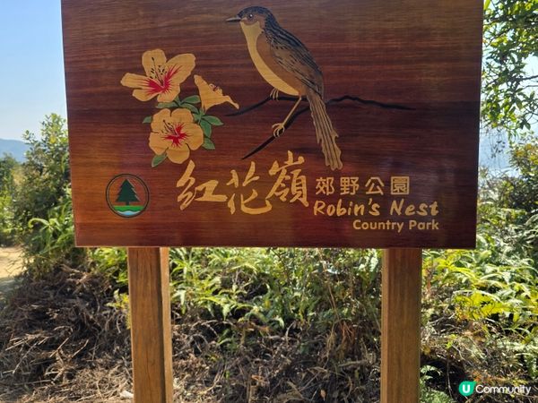 ## 紅花嶺⛰️靚景，新公園登場！🤩