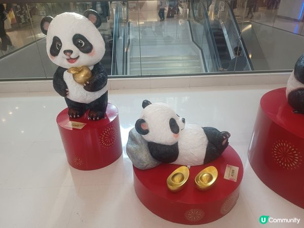熊貓🐼經濟