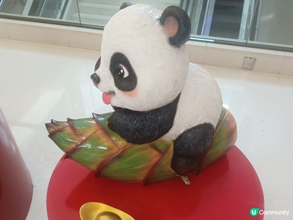 熊貓🐼經濟