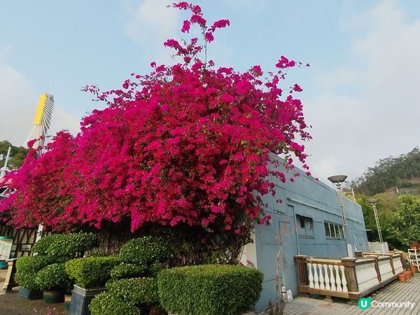 一個睇日落十分方便的地方
#青嶼幹線訪客中心及觀景台