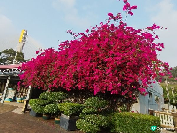 一個睇日落十分方便的地方
#青嶼幹線訪客中心及觀景台