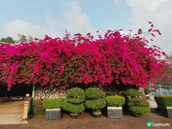 一個睇日落十分方便的地方
#青嶼幹線訪客中心及觀景台