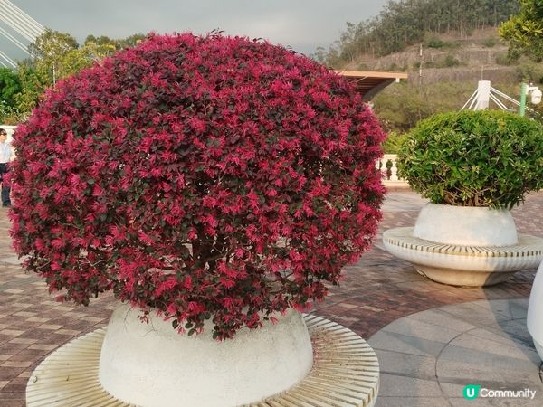 一個睇日落十分方便的地方
#青嶼幹線訪客中心及觀景台