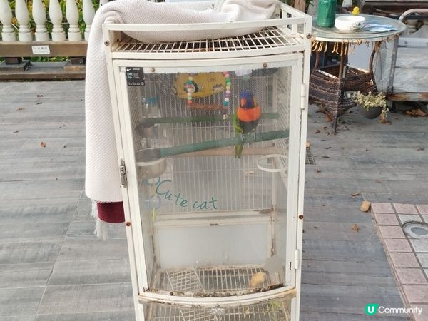 一個睇日落十分方便的地方
#青嶼幹線訪客中心及觀景台